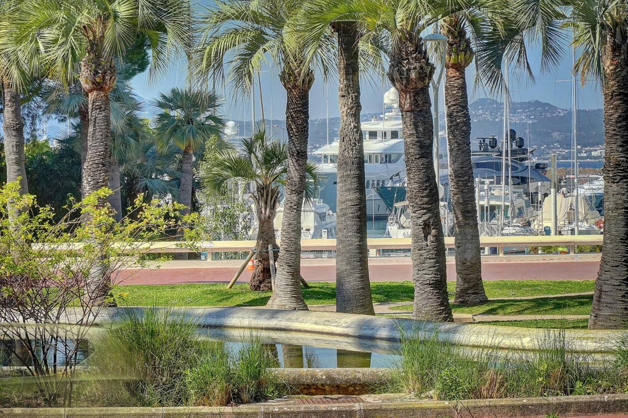 Le Palm - 100M Plage - Croisette - Verriere Cote D'Azur Канны Экстерьер фото