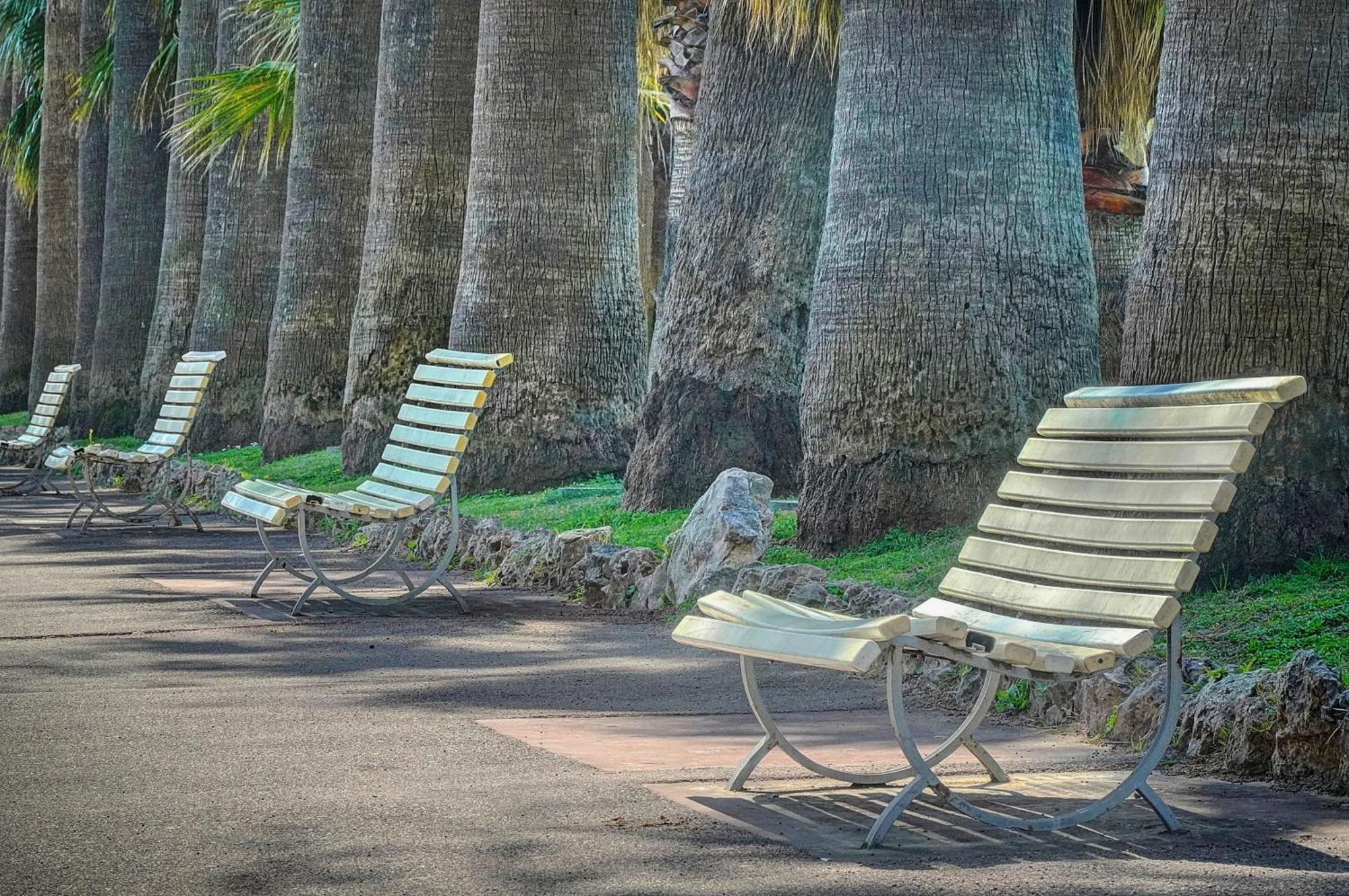 Le Palm - 100M Plage - Croisette - Verriere Cote D'Azur Канны Экстерьер фото