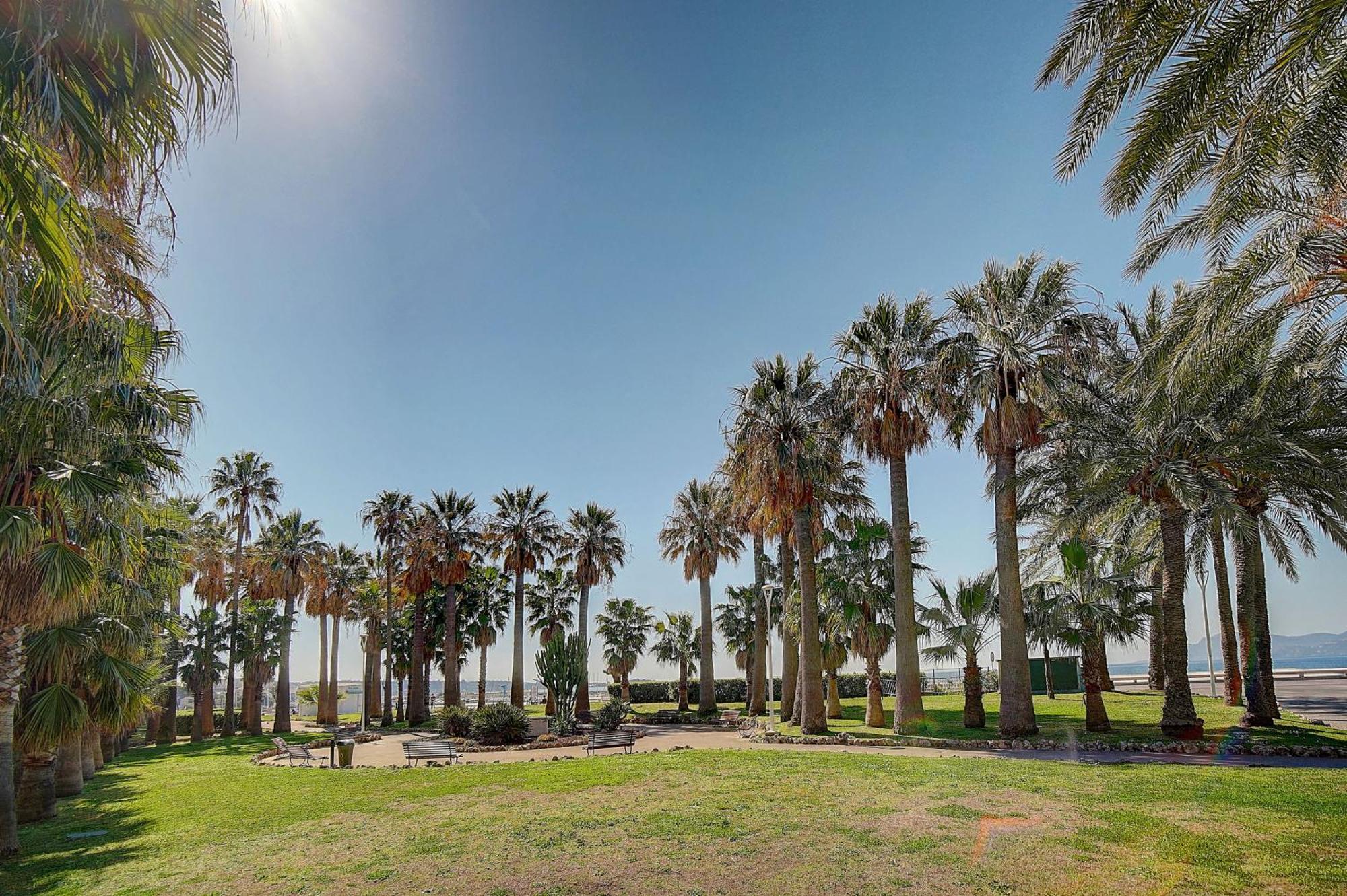 Le Palm - 100M Plage - Croisette - Verriere Cote D'Azur Канны Экстерьер фото