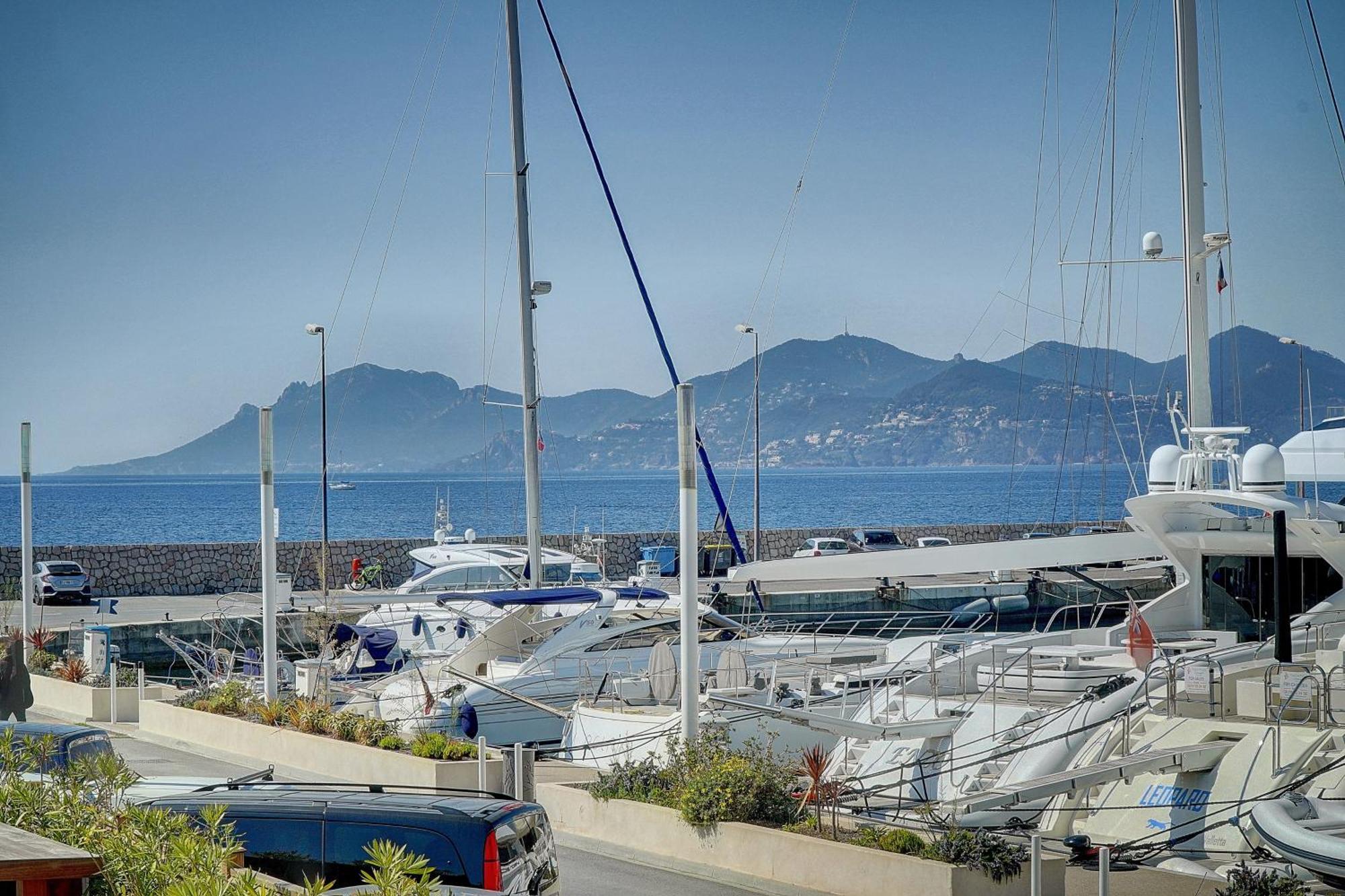 Le Palm - 100M Plage - Croisette - Verriere Cote D'Azur Канны Экстерьер фото